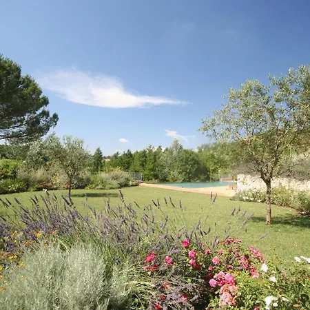 Il Vigneto