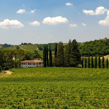Il Vigneto *